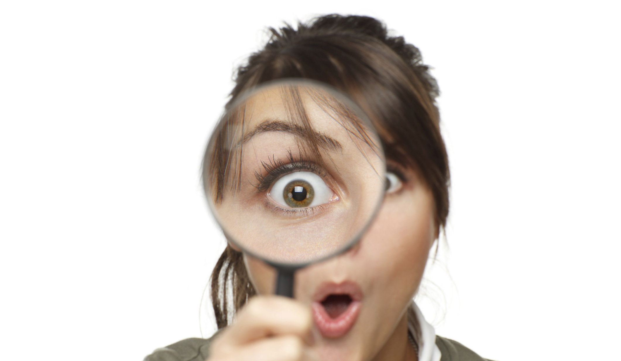 ¿Qué pasa cuando haces una búsqueda en SoltekOnline.com?