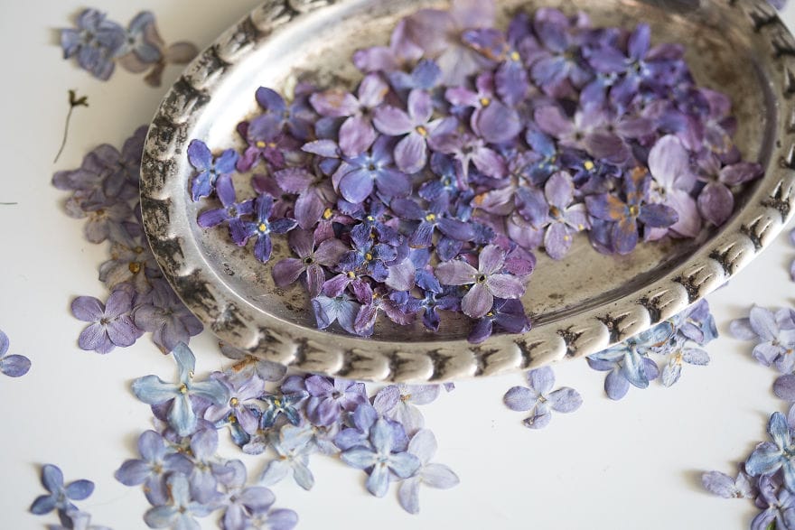 "Renuncié a mi trabajo para seguir mi pasión por los delicados herbarios enmarcados" Post feature image