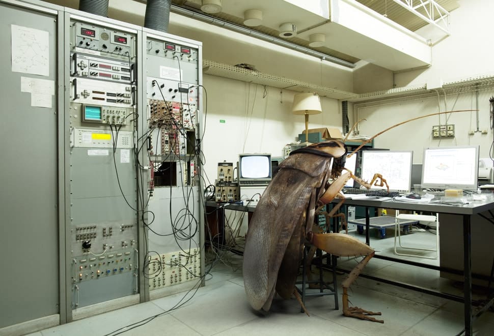 ¿Por qué decimos que una computadora tiene un "bug"? Post feature image