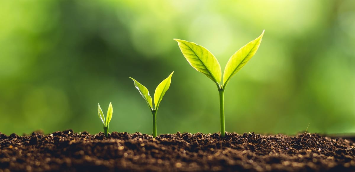 10 maneras fáciles de "sacudir" y hacer crecer tu pequeña empresa Post feature image