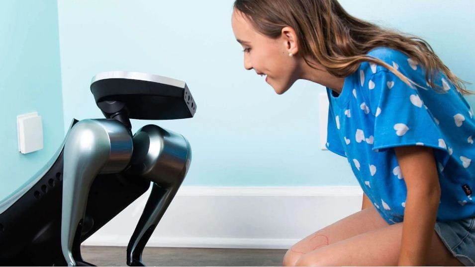 Los robots más innovadores que hemos visto en 2021. Post feature image