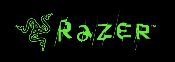 Razer: For Gamers. By Gamers